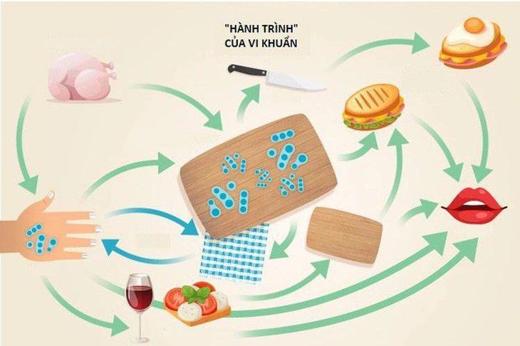 Đường đi của vi khuẩn từ thớt bẩn